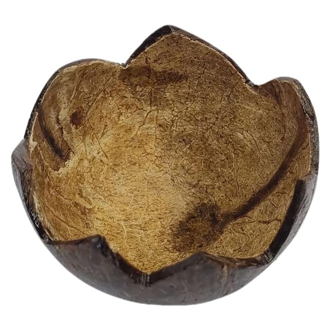 Coconut Light Weight ice Cream